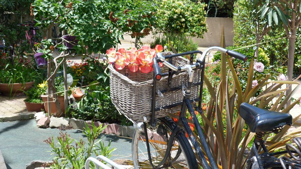 Cap D'Agde Studio - Village Naturiste Dış mekan fotoğraf